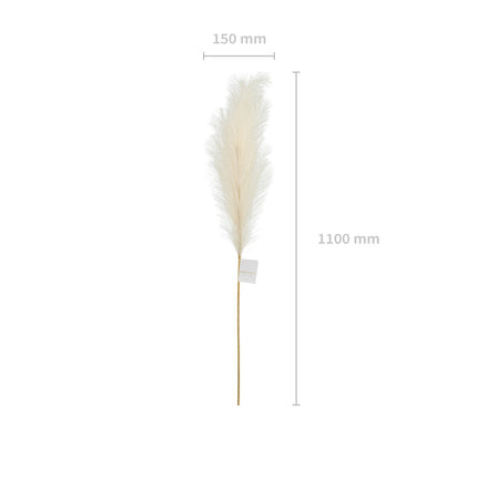 Suche kwiaty Pampas 1,1 m
