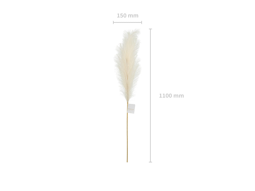 Suche kwiaty Pampas 1,1 m