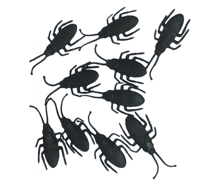 Żuki do dekoracji stołu 7cm 10szt