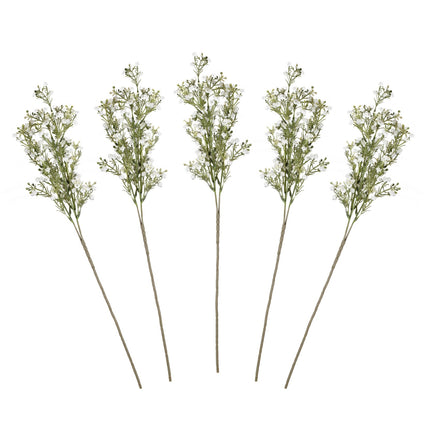 Suche kwiaty Gypsophilia Łodygi 40cm 5szt
