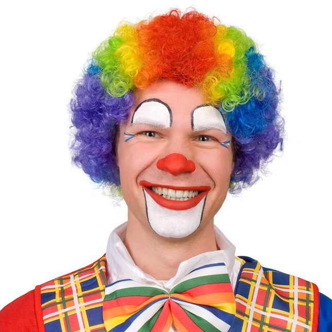 Gekleurde Pruik Krullen Clown van Boland koop je bij Partywinkel