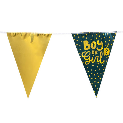 Gender Reveal Slinger Boy Or Girl 6m van Boland koop je bij Partywinkel