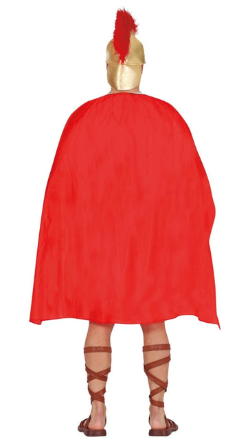 Gladiator Kostuum Bruin Heren van Fiestas Guirca koop je bij Partywinkel