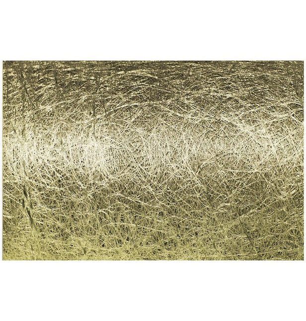 Gouden Lint Romance 10m van CHAKS koop je bij Partywinkel