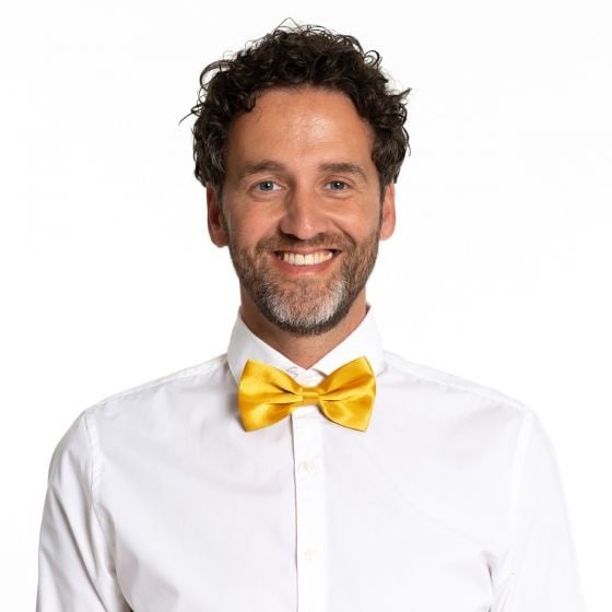 Gouden Vlinderdas van Partychimp koop je bij Partywinkel