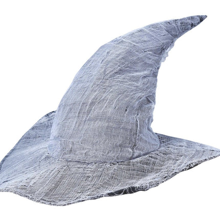 Grijze Hoed Tovenaar van Fiestas Guirca koop je bij Partywinkel