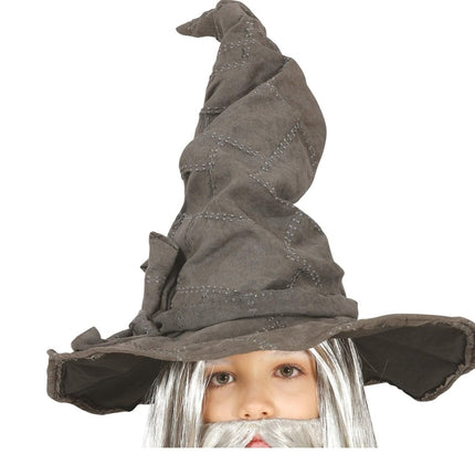 Grijze Hoed Tovenaar Kind van Fiestas Guirca koop je bij Partywinkel