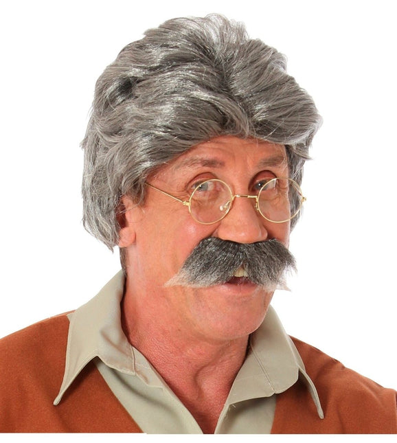 Grijze Pruik van Widmann koop je bij Partywinkel