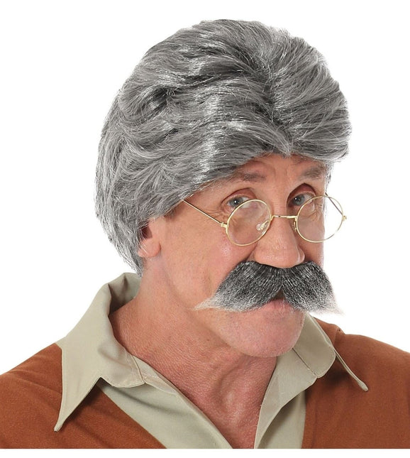 Grijze Pruik van Widmann koop je bij Partywinkel