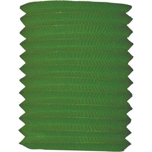 Groene Lampion 16cm - Partywinkel - 8711319300461
