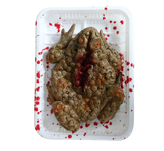 Halloween Dienblad Kikker 18cm - Partywinkel - 8434077268261