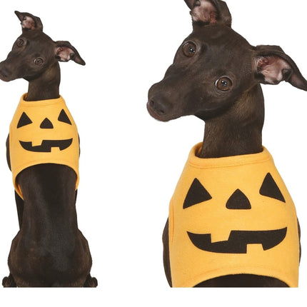 Halloween Dieren Kostuum Pompoen Mascotte van Fiestas Guirca koop je bij Partywinkel