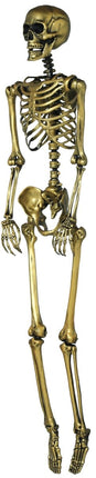 Halloween Hangdecoratie Goud Skelet 90cm - Partywinkel - 8434077269633