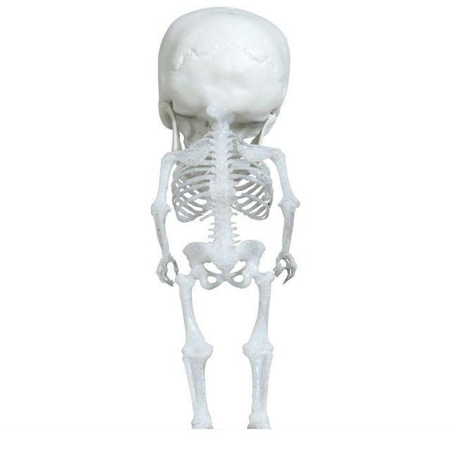 Halloween Hangdecoratie Skelet 15cm - Partywinkel - 8434077248751