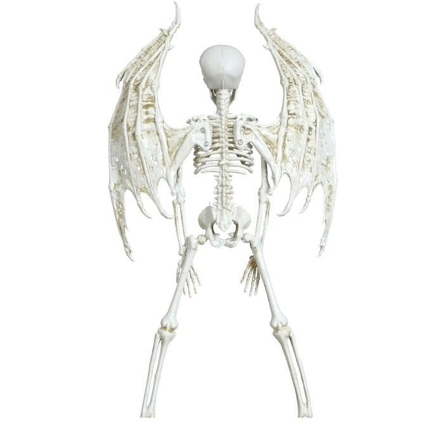 Halloween Hangdecoratie Skelet Met Vleugels 46cm - Partywinkel - 8434077248874