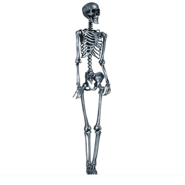 Halloween Hangdecoratie Zilver Skelet 1,6m - Partywinkel - 8434077249406