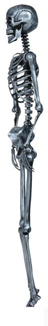 Halloween Hangdecoratie Zilver Skelet 90cm - Partywinkel - 8434077269640