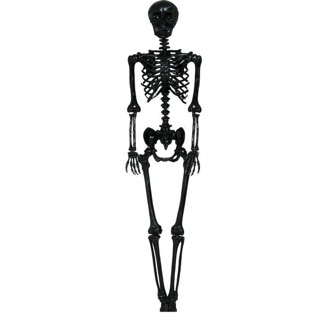 Halloween Hangdecoratie Zwart Skelet 1,6m - Partywinkel - 8434077249383