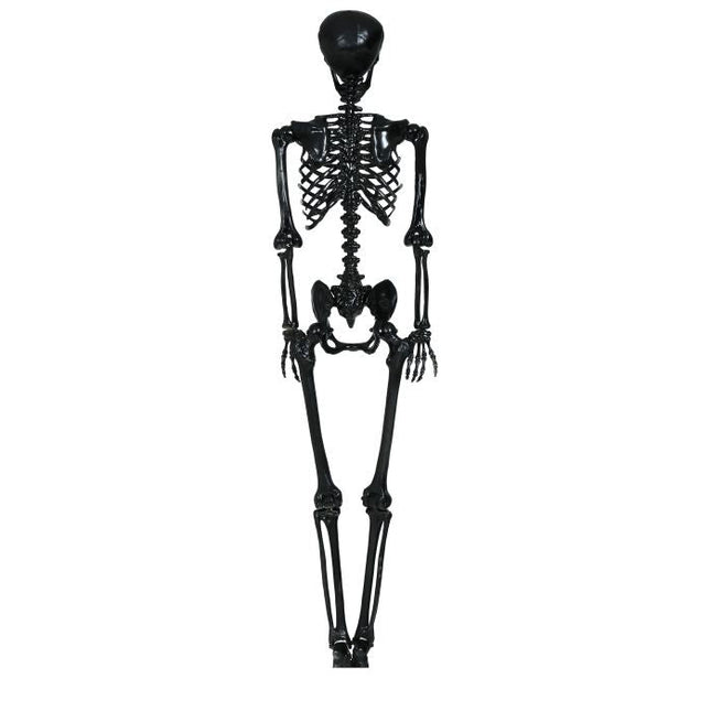 Halloween Hangdecoratie Zwart Skelet 1,6m - Partywinkel - 8434077249383