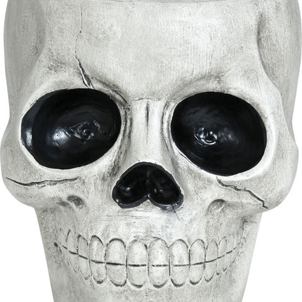 Halloween Kom Schedel 15cm - Partywinkel - 8434077249642