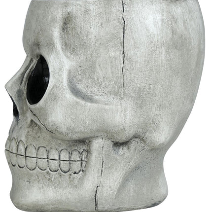 Halloween Kom Schedel 15cm - Partywinkel - 8434077249642