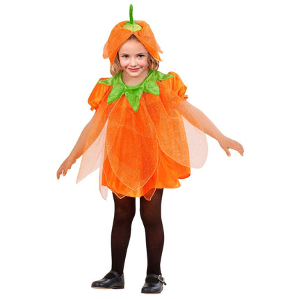 Halloween Kostuum Baby Pompoen 2 delig van Widmann koop je bij Partywinkel