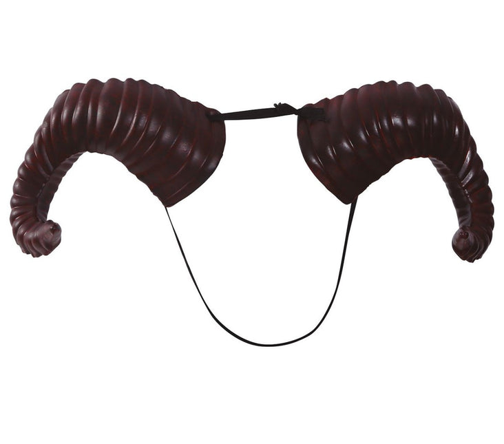 Halloween Satanhoorns 20cm van Fiestas Guirca koop je bij Partywinkel