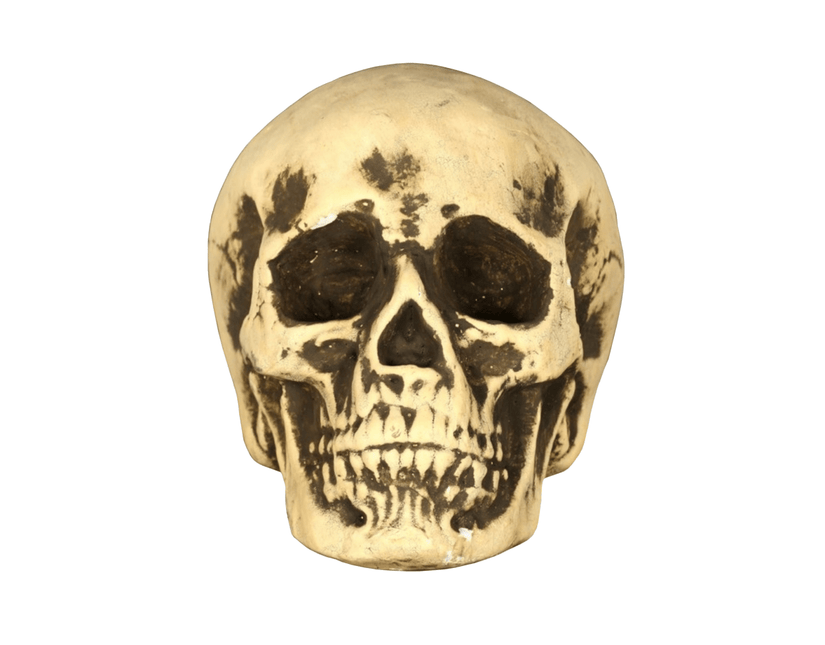 Halloween Schedel 22cm van Fiestas Guirca koop je bij Partywinkel