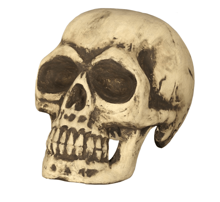 Halloween Schedel 32cm van Fiestas Guirca koop je bij Partywinkel
