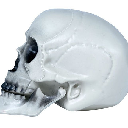 Halloween Schedel Grijs 20cm van Fiestas Guirca koop je bij Partywinkel