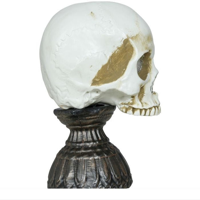 Halloween Schedel Met Licht En Geluid 28cm - Partywinkel - 8434077249314