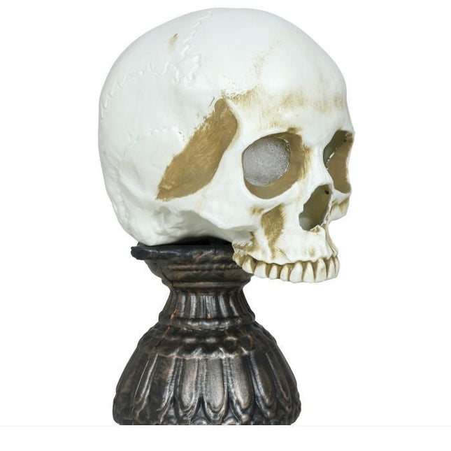 Halloween Schedel Met Licht En Geluid 28cm - Partywinkel - 8434077249314