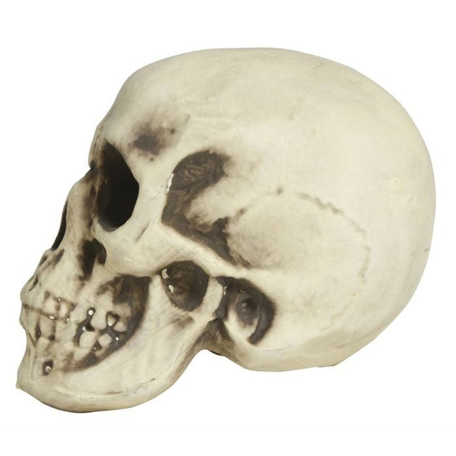 Halloween Schedel Wit Schuim 20cm - Partywinkel - 8434077249567