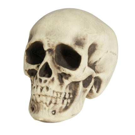Halloween Schedel Wit Schuim 20cm - Partywinkel - 8434077249567