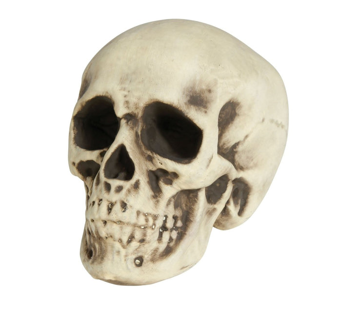 Halloween Schedel Wit Schuim 20cm - Partywinkel - 8434077249567