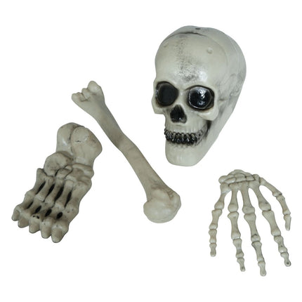 Halloween Skelet 4 delig - Partywinkel - 8434077249321
