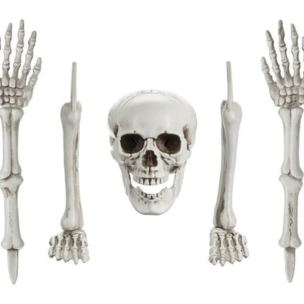 Halloween Skelet 5 delig van Partydeco koop je bij Partywinkel
