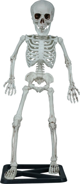 Halloween Skelet 55cm van Fiestas Guirca koop je bij Partywinkel