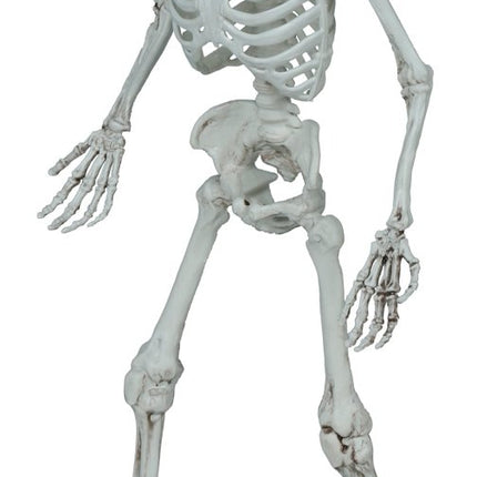 Halloween Skelet 55cm van Fiestas Guirca koop je bij Partywinkel