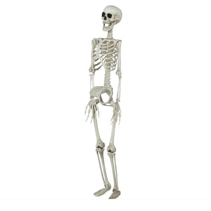 Halloween Skelet 90cm van Fiestas Guirca koop je bij Partywinkel