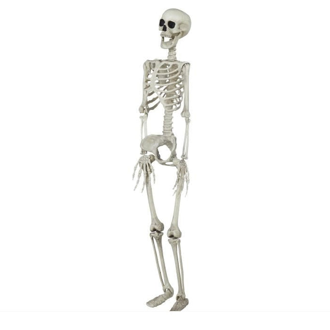Halloween Skelet 90cm van Fiestas Guirca koop je bij Partywinkel