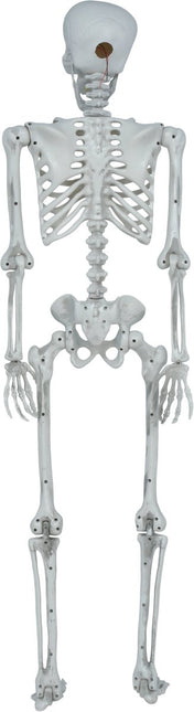 Halloween Skelet Beweegbaar 1,4m van Fiestas Guirca koop je bij Partywinkel