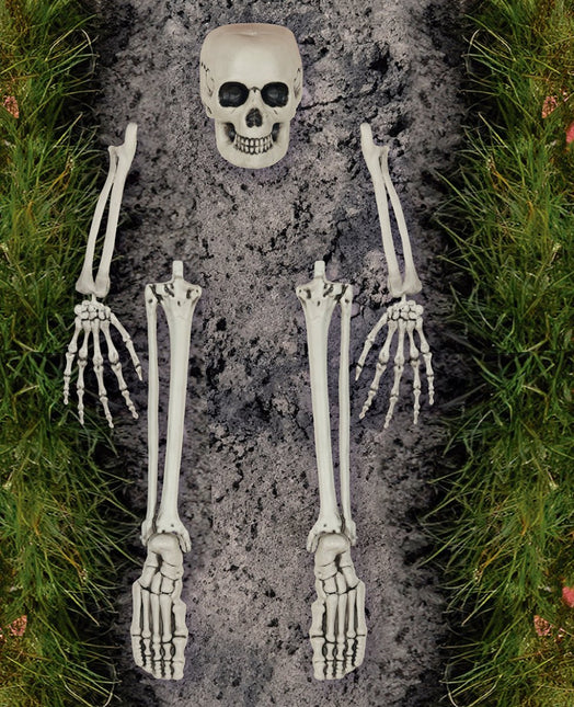 Halloween Skelet Botten 5 delig - Partywinkel - 8434077269794