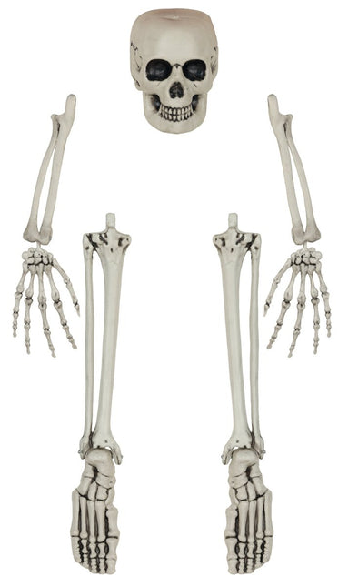 Halloween Skelet Botten 5 delig - Partywinkel - 8434077269794