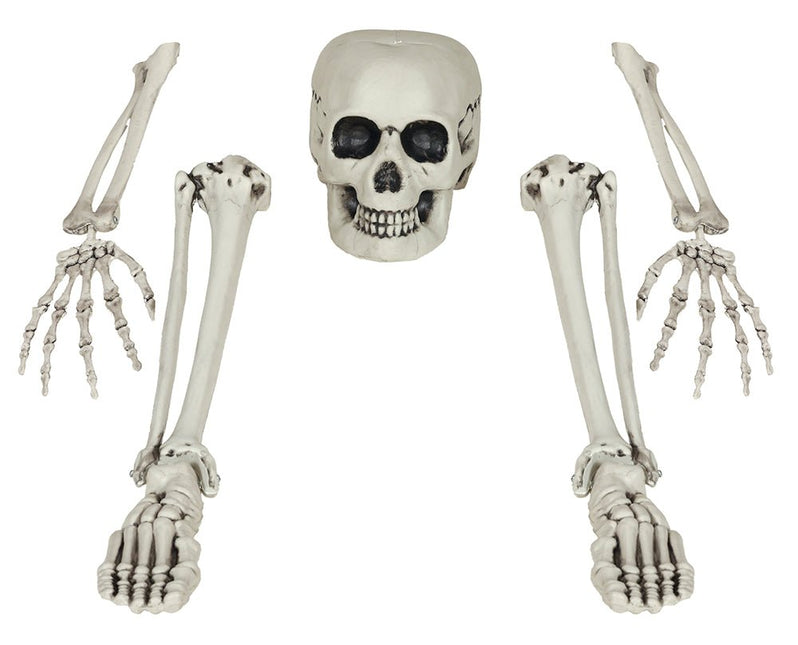 Halloween Skelet Botten 5 delig - Partywinkel - 8434077269794