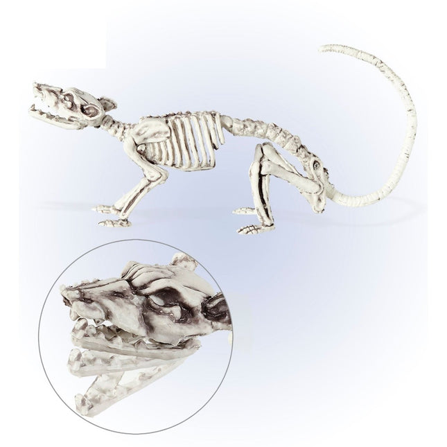 Halloween Skelet Rat van Widmann koop je bij Partywinkel