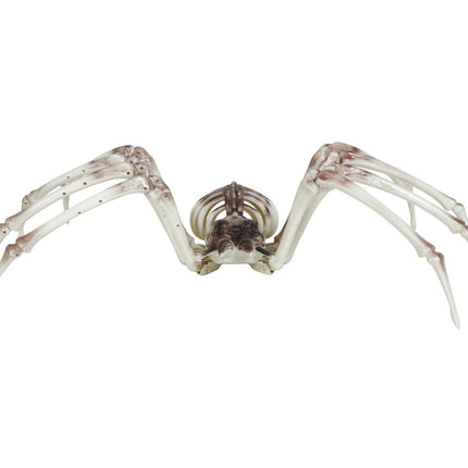 Halloween Skelet Spider 85cm - Partywinkel - 8434077249765