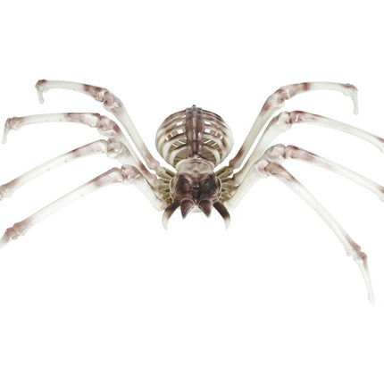 Halloween Skelet Spider 85cm - Partywinkel - 8434077249765