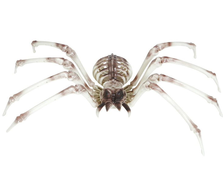 Halloween Skelet Spider 85cm - Partywinkel - 8434077249765