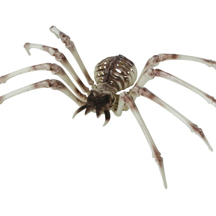 Halloween Skelet Spider 85cm - Partywinkel - 8434077249765
